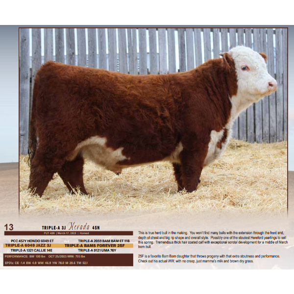 Triple-A 3J Nevada 45N