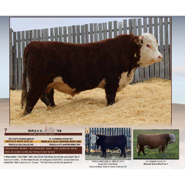 Triple-A 3J Miller 74M