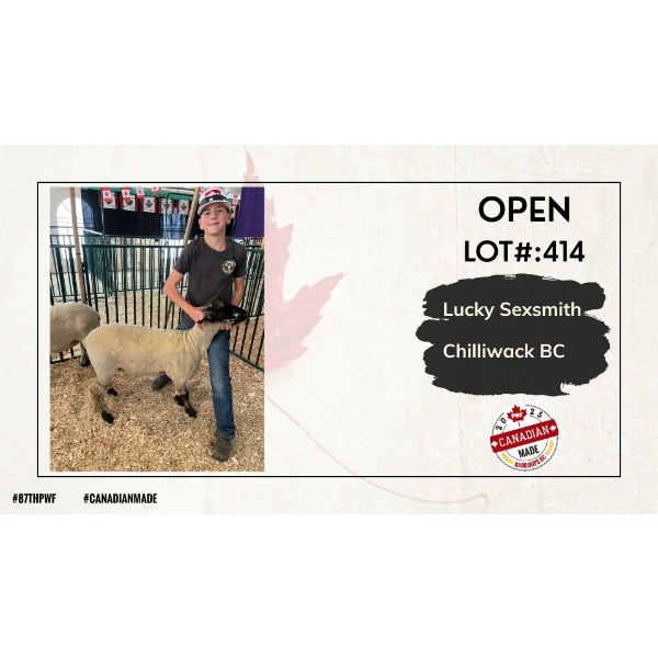 Open Sheep - Lucky Sexsmith - Chilliwack BC