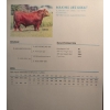Image 7 : Little Rainbow Ranch - 50 Red & RBF Simm X Angus & Angus AI Bred Heifers (Moosomin, SK)