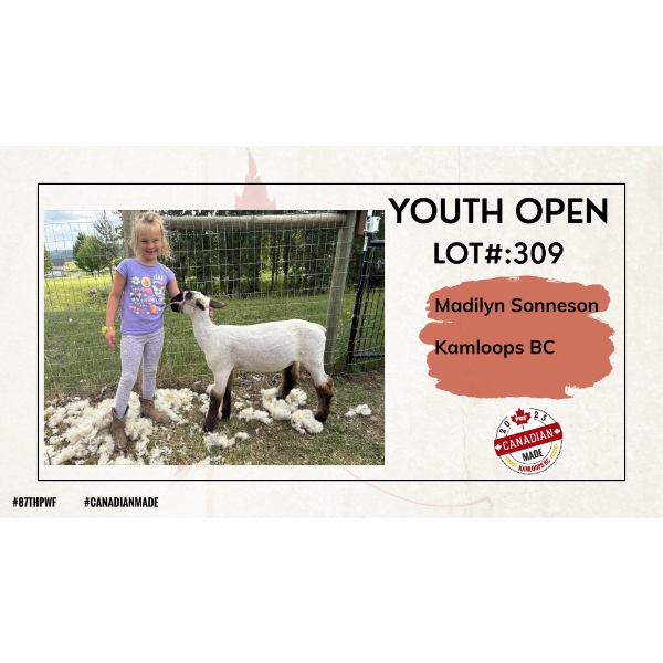 Youth Open Sheep - Madilyn Sonneson - Kamloops BC