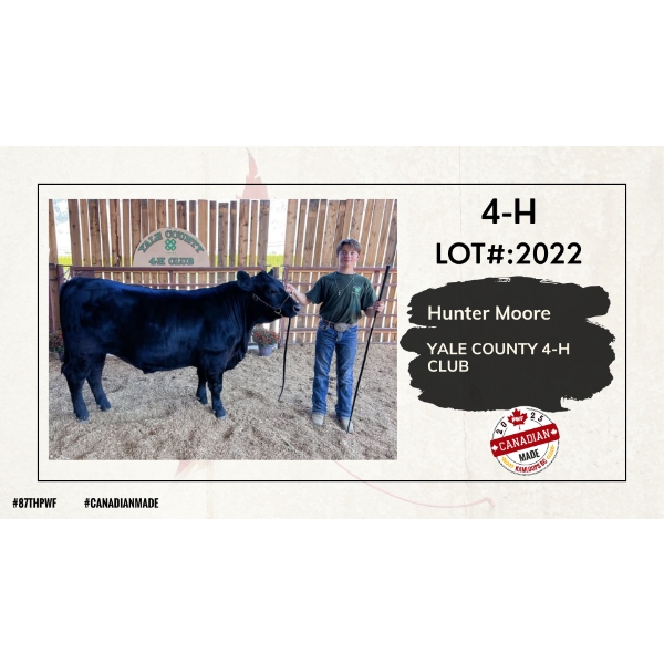 4-H Beef - Hunter Moore - Yale County 4-H Club