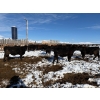 Image 6 : Antelope Butte Ranch - 769# March Delivery Steers - 75 Head (Lundbreck, AB) VBP+