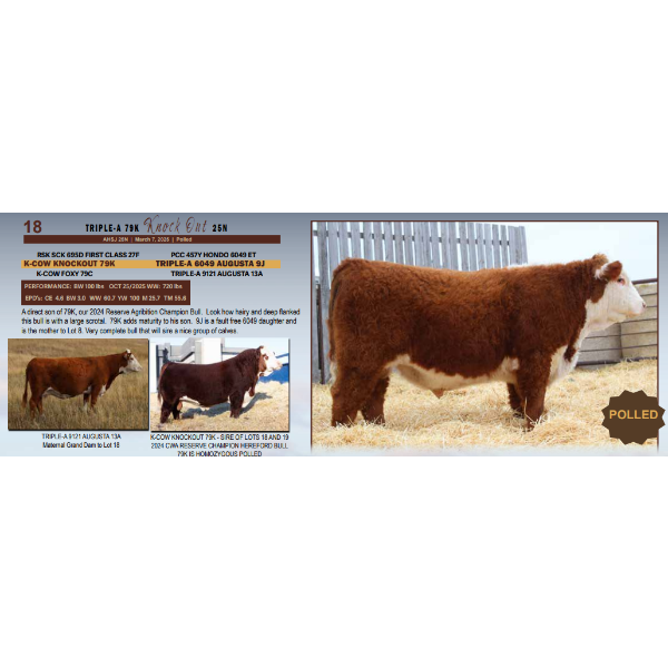 Triple-A 79K Knock Out 25N