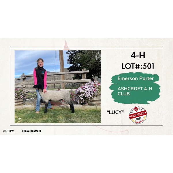 4-H Sheep - Emerson Porter - Ashcroft 4-H Club