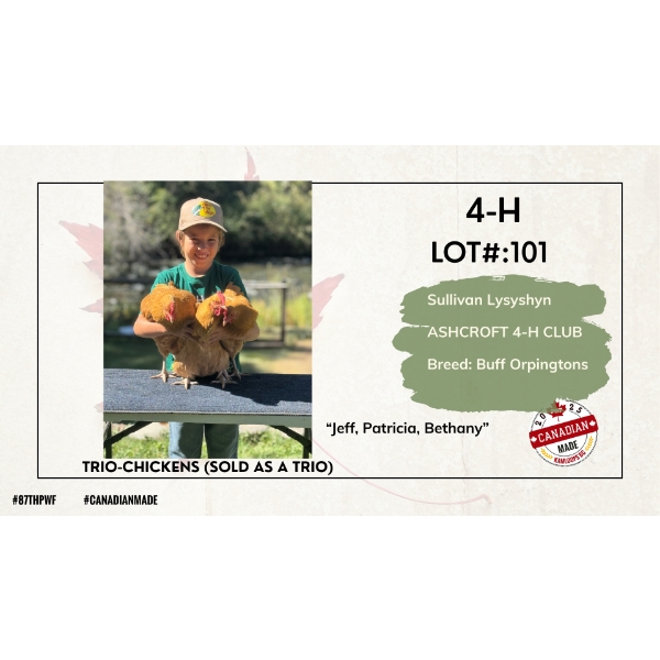 4-H Poultry - Sullivan Lysyshyn - Ashcroft 4-H Club