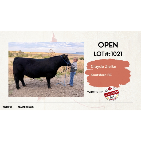 Open Beef - Clayde Zielke - Shotgun - Knutsford, BC