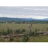Image 15 : Ootsa Lake Cattle Co. - 1025# September Delivery Grass Steers - 55 Head (Ootsa Lake, BC)