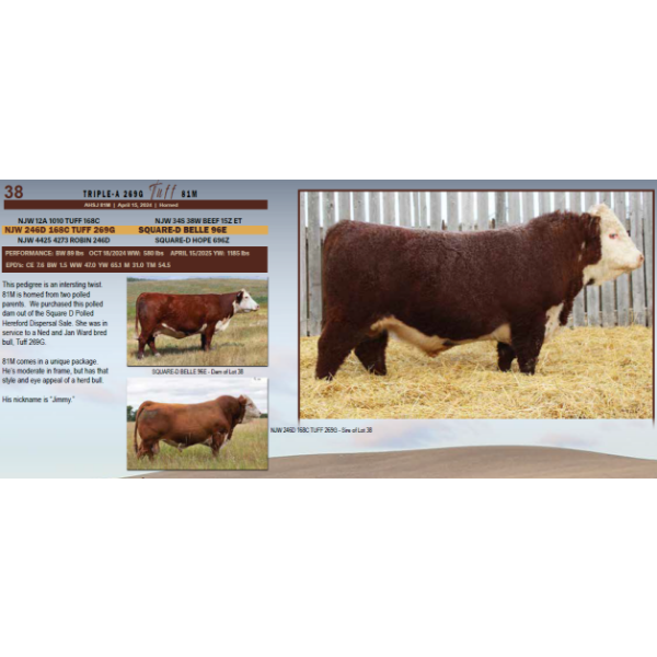 Triple-A 269G Tuff 81M