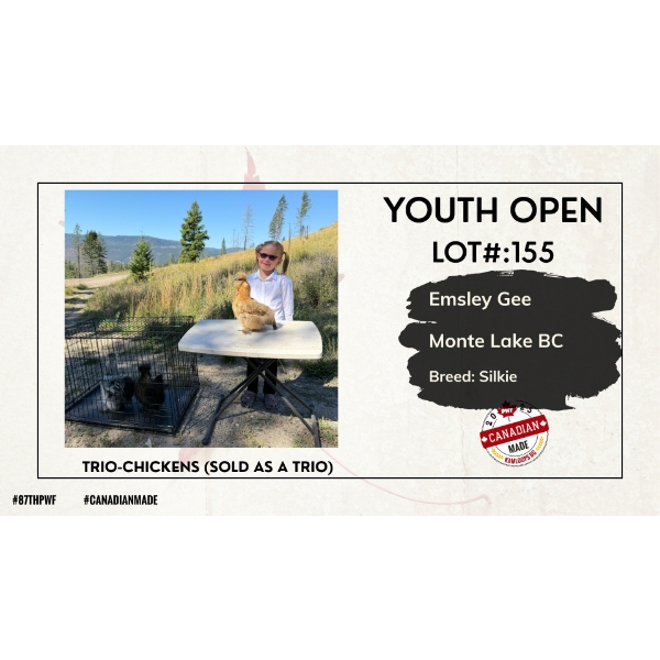 Youth Open Poultry - Emsley Gee - Monte Lake, BC