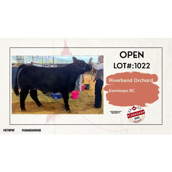 Open Beef - Riverbend Orchard - Eddy - Kamloops, BC