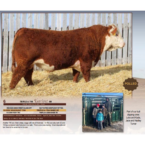 Triple-A 79K Knockout 4M