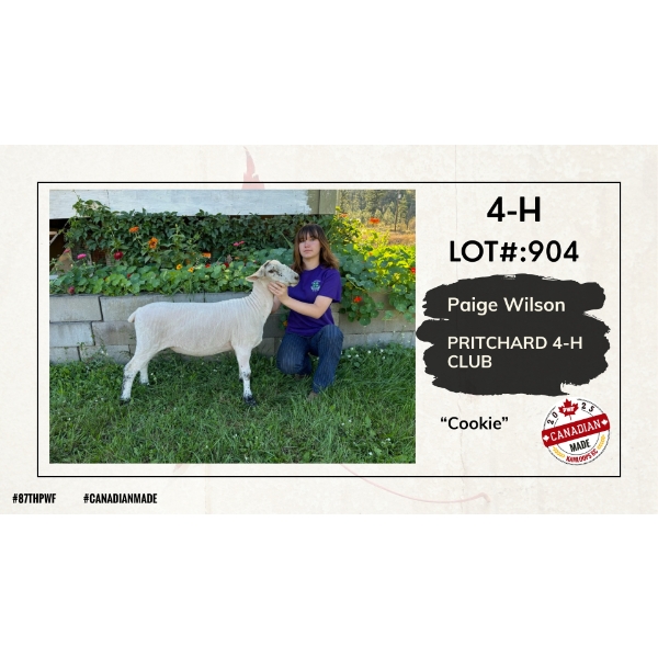 4-H Sheep Carcass - Paige Wilson - Pritchard 4-H Club