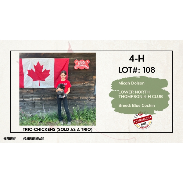 4-H Poultry - Micah Dolson - Lower North Thompson 4-H Club