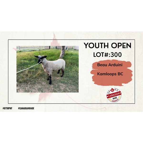 Youth Open Sheep - Beau Arduini - Kamloops, BC