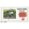Image 1 : Youth Open Sheep - Beau Arduini - Kamloops, BC