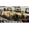 Image 2 : Douglas Lake Cattle Co. - 545# October Delivery Heifer Calves - 200 Head (Merritt, BC) VBP+