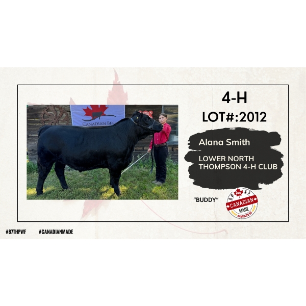 4-H Beef - Alana Smith - Buddy - Lower North Thompson 4-H Club