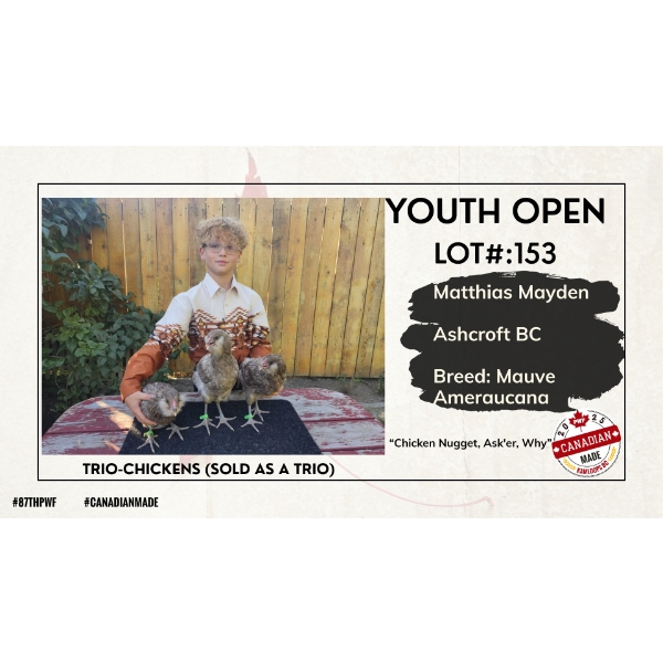 Youth Open Poultry - Matthias Mayden - Ashcroft, BC
