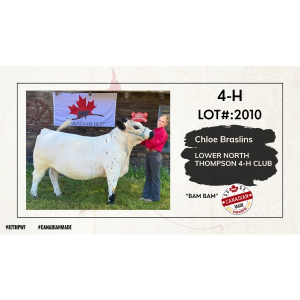 4-H Beef - Chloe Braslins - Bam Bam - Lower North Thompson 4-H Club