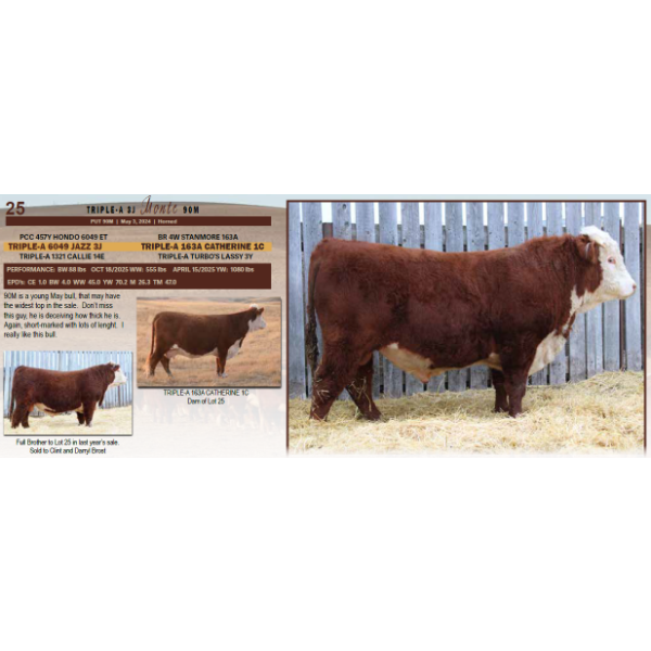 Triple-A 3J Monte 90M