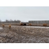 Image 4 : Four Harts Cattle Co. - 975# March Delivery Steers - 90 Head (Vermilion, AB)