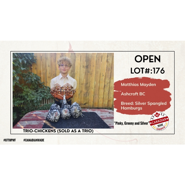 Open Poultry - Matthias Mayden - Ashcroft, BC