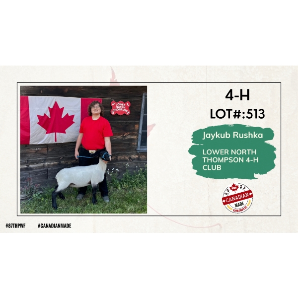 4-H Sheep - Jaykub Rushka - Lower North Thompson 4-H Club