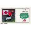 Image 1 : 4-H Sheep - Jaykub Rushka - Lower North Thompson 4-H Club