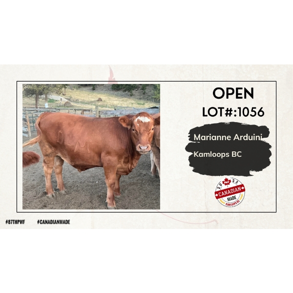 Open Beef Carcass - Marianne Arduini - Kamloops, BC