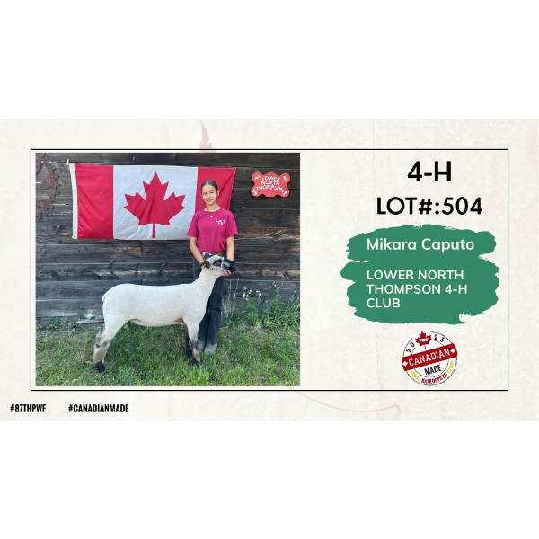 4-H Sheep - Mikara Caputo - Lower North Thompson 4-H Club