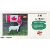 Image 1 : 4-H Sheep - Mikara Caputo - Lower North Thompson 4-H Club