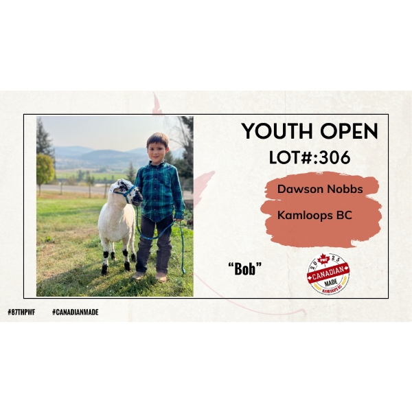 Youth Open Sheep - Dawson Nobbs - Kamloops BC
