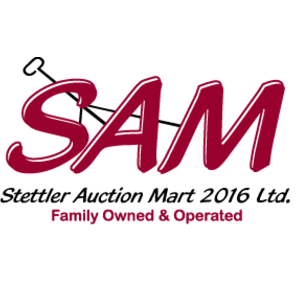 Shirley Nielsen - 5 head March & April calving RBF Bred Heifers (Pen 600)