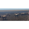 Image 7 : Cattlewood Farms Ltd. - 760# June Delivery Heifers - 35 Head (Swalwell, AB)