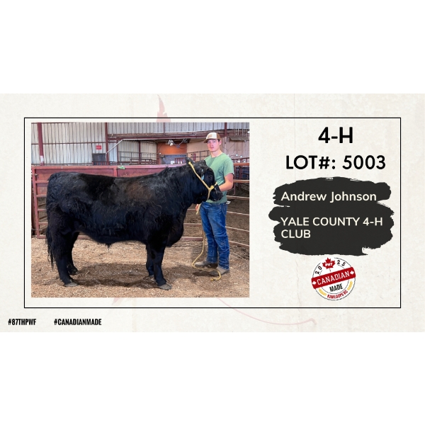 4-H Beef Carcass - Andrew Johnson - Yale County 4-H Club
