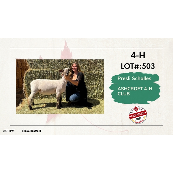 4-H Sheep - Presli Schalles - Ashcroft 4-H Club