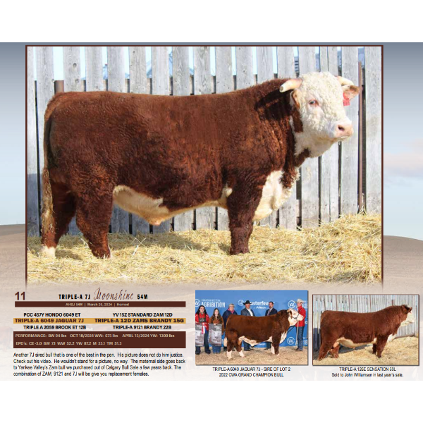 Triple-A 7J Moonshine 54M