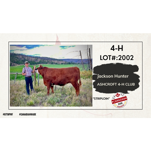 4-H Beef - Jackson Hunter - Striploin - Ashcroft 4-H Club