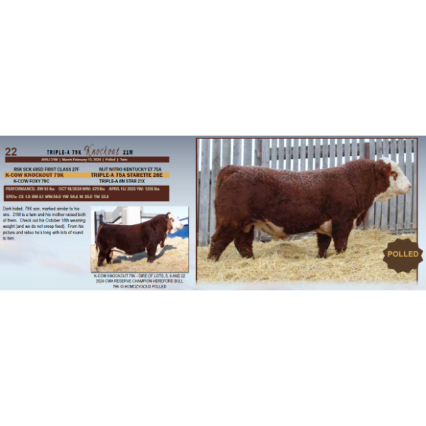 Triple-A 79K Knockout 21M