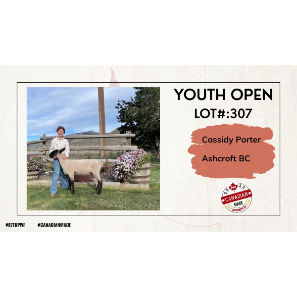 Youth Open Sheep - Cassidy Porter - Ashcroft BC
