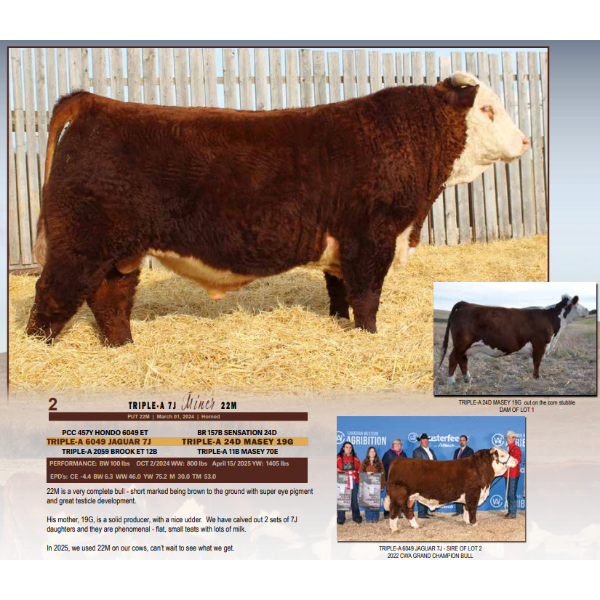 Triple-A 3J Miner 22M