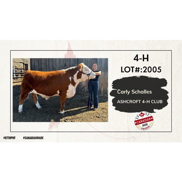 4-H Beef - Carly Schalles - Ashcroft 4-H Club