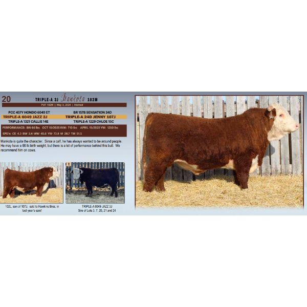 Triple-A 3J Mankota 102M