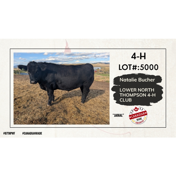 4-H Beef Carcass - Natalie Bucher - Lower North Thompson 4-H Club