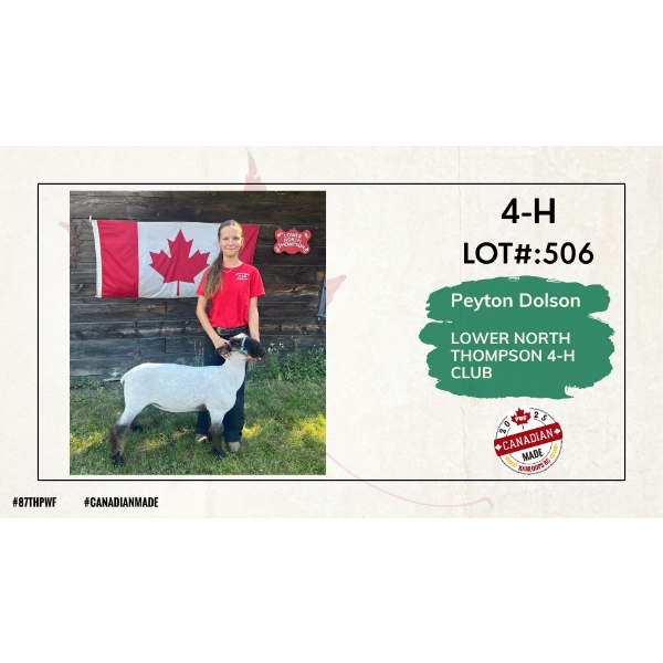 4-H Sheep - Peyton Dolson - Lower North Thompson 4-H Club