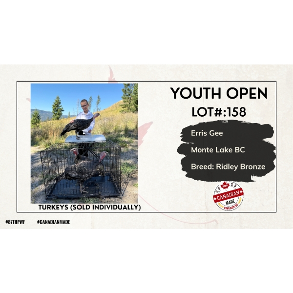 Youth Open Poultry - Erris Gee - Monte Lake, BC