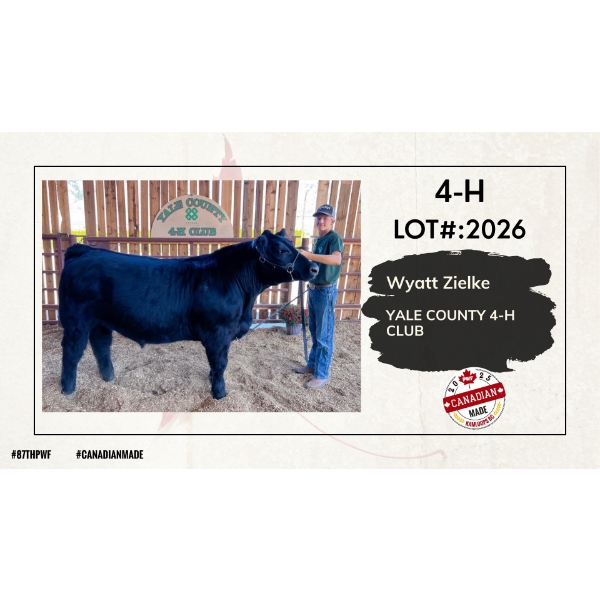 4-H Beef - Wyatt Zielke - Sheriff - Yale County 4-H Club