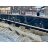 Image 9 : Blue Moon Cattle Co. - 830# March Delivery Weaned Heifers - 65 Head (Irricana, AB)