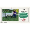 Image 1 : 4-H Sheep - Paige Wilson - Pritchard 4-H Club